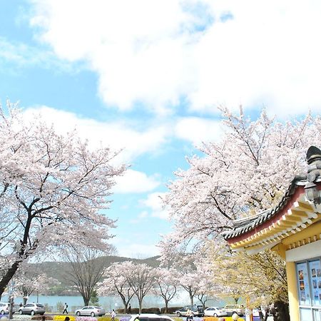 Corea Condo Gyeongju Zewnętrze zdjęcie
