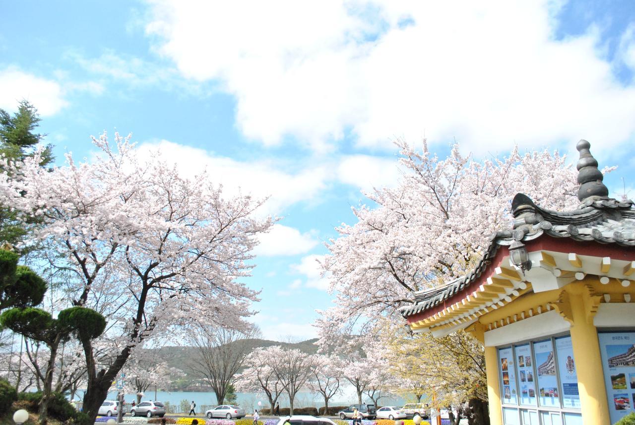 Corea Condo Gyeongju Zewnętrze zdjęcie