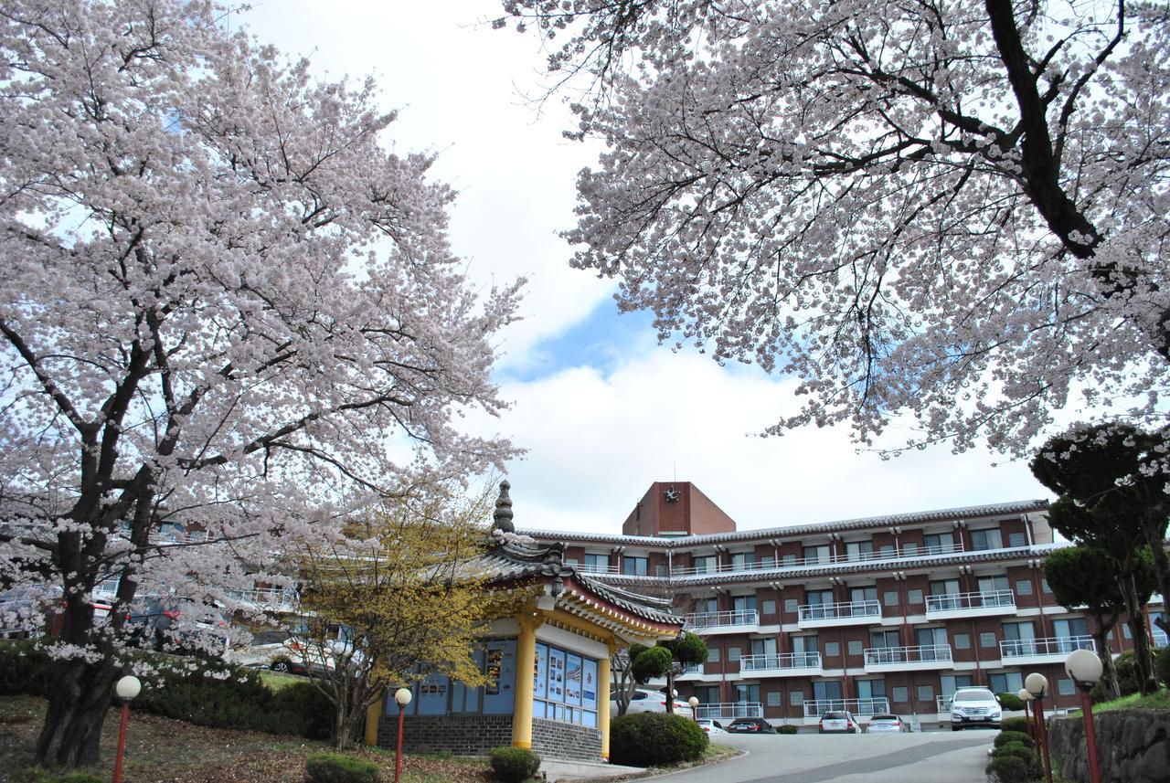 Corea Condo Gyeongju Zewnętrze zdjęcie