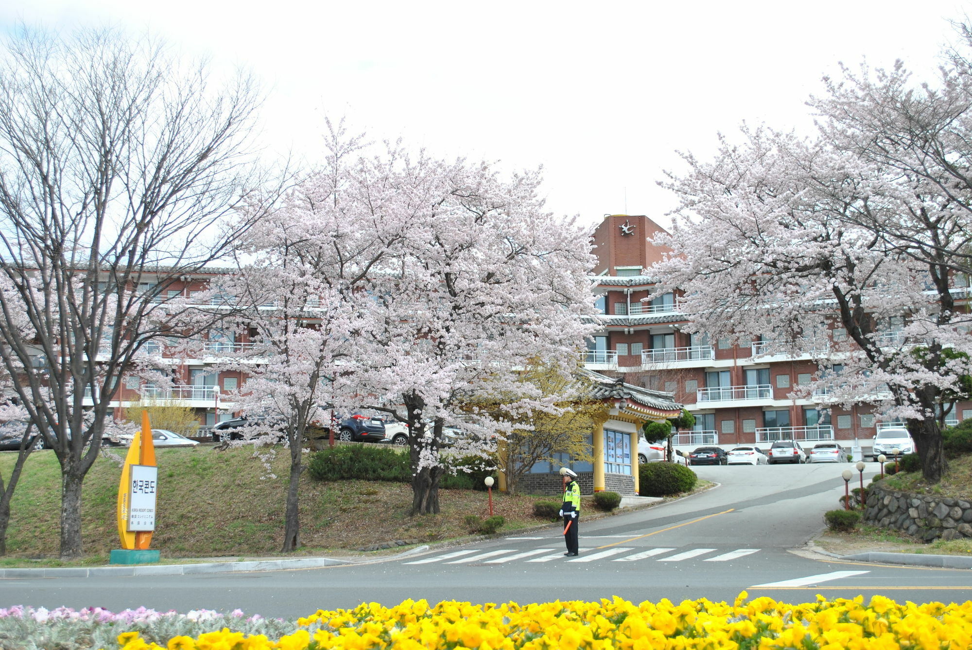Corea Condo Gyeongju Zewnętrze zdjęcie