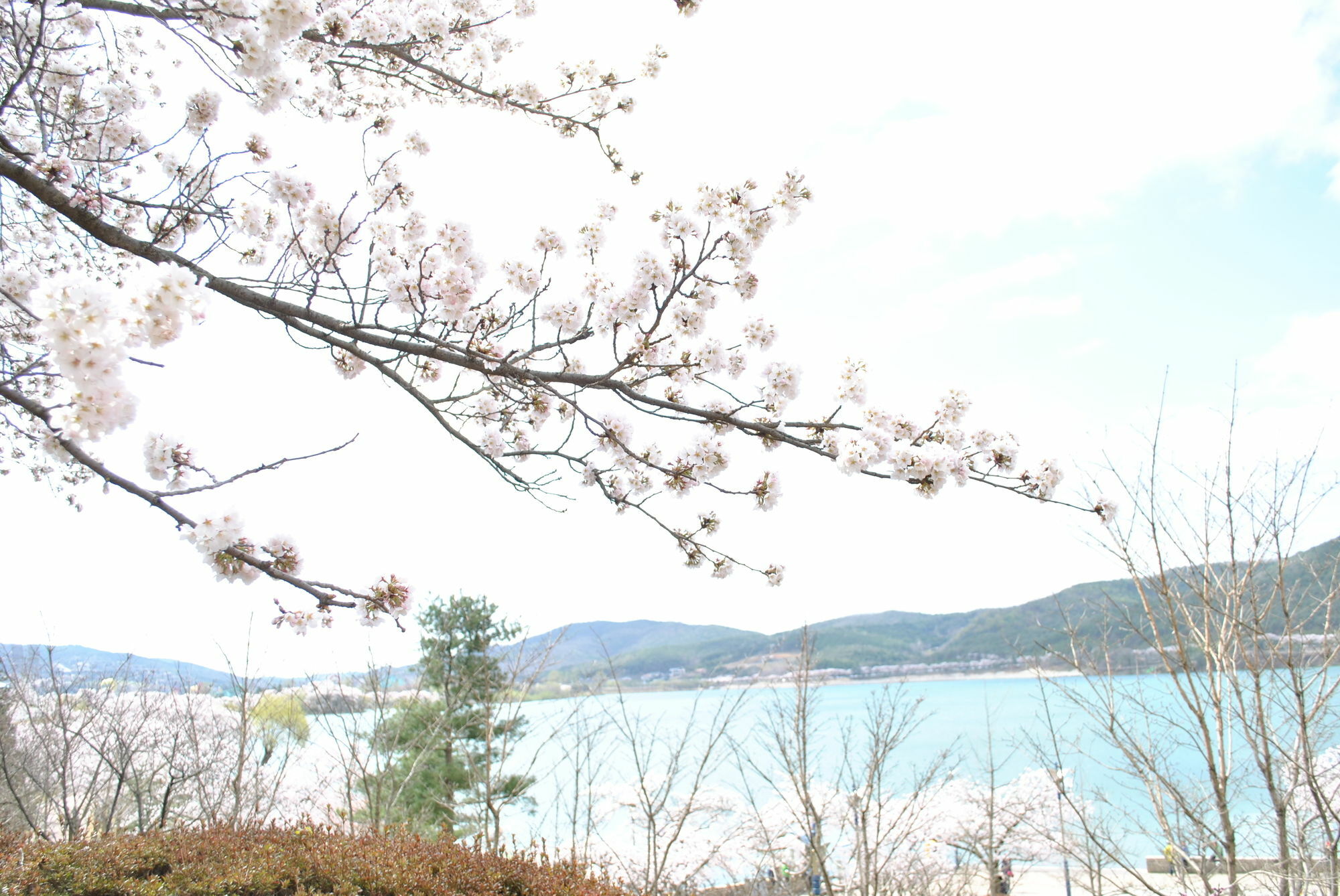 Corea Condo Gyeongju Zewnętrze zdjęcie
