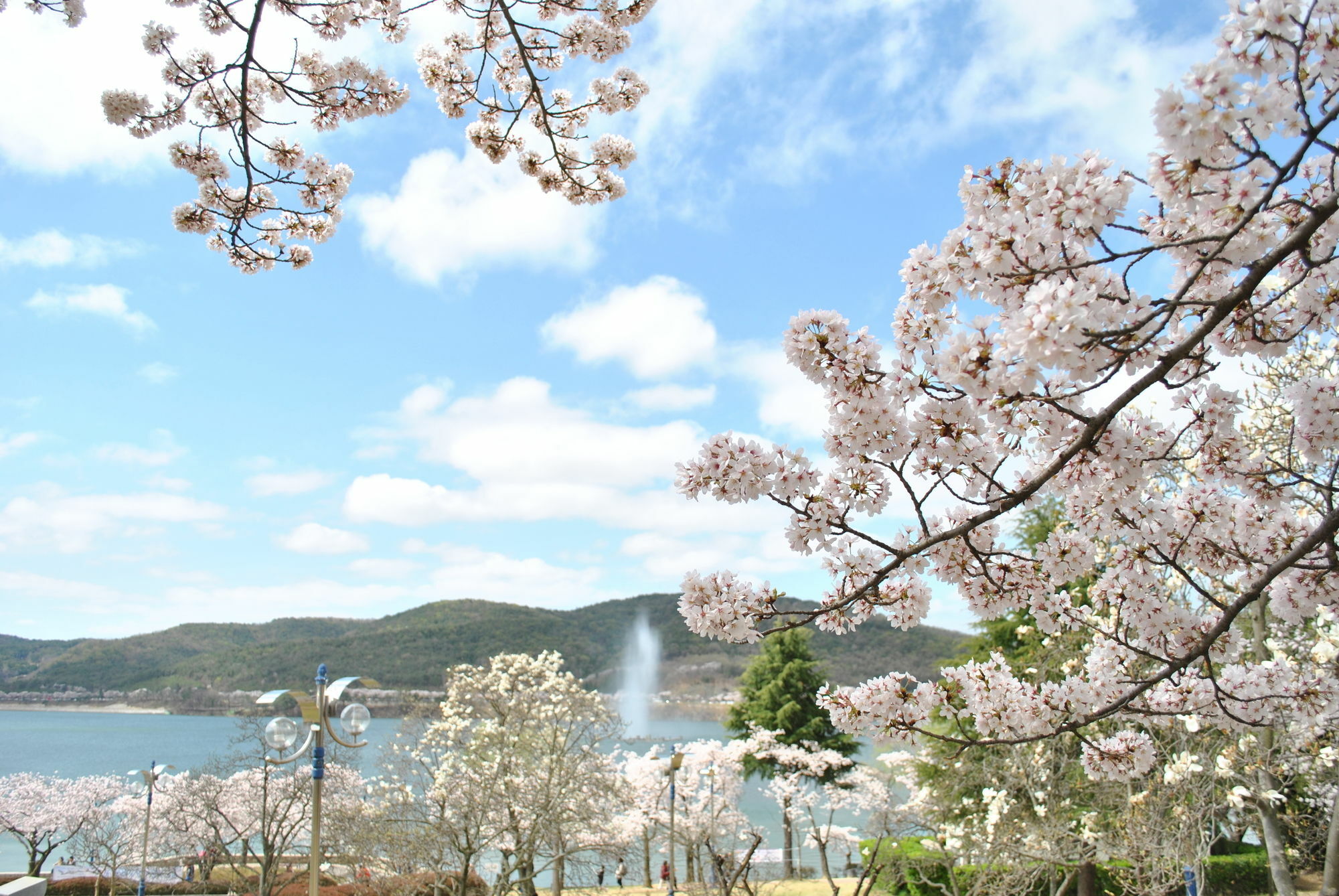 Corea Condo Gyeongju Zewnętrze zdjęcie